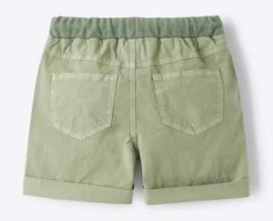 Bermuda Shorts Sage Green 537
